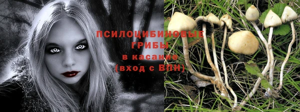 метадон Магас