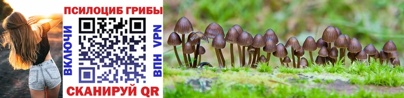 купить   Лангепас  Псилоцибиновые грибы ЛСД 